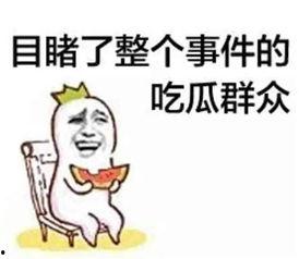 娱乐吃瓜酱造谣小说,揭秘网络造谣小说背后的真相