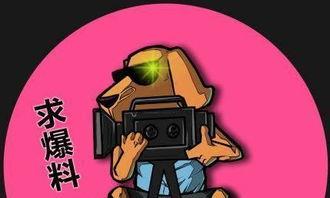 吃瓜娱乐打人案件