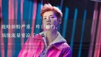 娱乐吃瓜小故事视频,吃瓜小故事背后的真相大起底