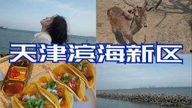 娱乐吃瓜酱自驾游,跟随吃瓜酱畅游天下