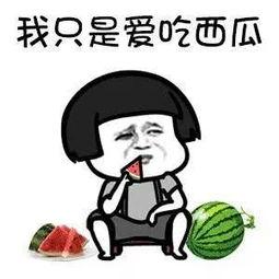 娱乐吃瓜头像高清图片,带你领略潮流风尚