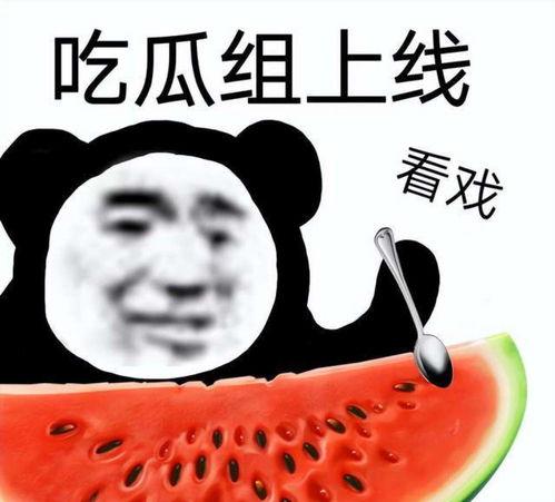 娱乐吃瓜酱奶奶语录全文,揭秘娱乐圈那些不为人知的幕后故事