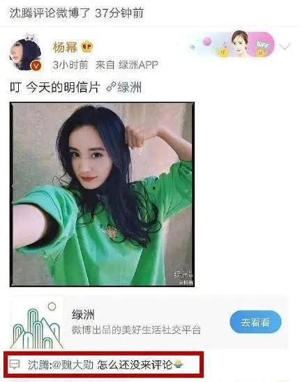 娱乐圈吃瓜网站大全